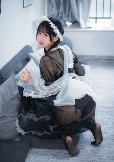 狐狸女士_4K在线手机播放