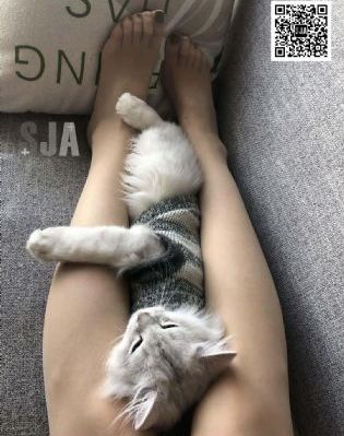 万界仙踪在线观看全集免费播放_爱奇艺VIP神马影院手机在线