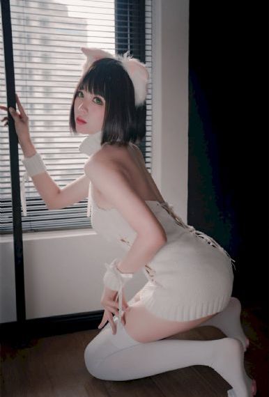 鸟鸟电影免费在线观看_在线免费观看电视剧