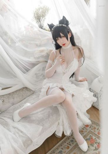 护宝风云电视剧全集在线观看免费_4K高清免费观看